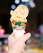 Ice Cream Cone