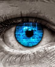 Metro Eyes - Vision Health and Optics image 10