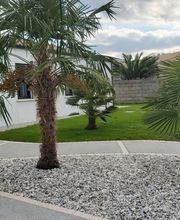 Cornuaud Paysage image 10