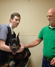 Archer Veterinary Clinic image 20