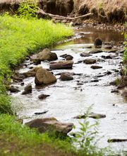 YMCA Camp Harrison image 3