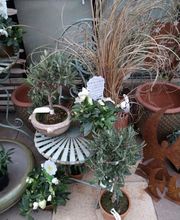 Gartenland Rabovsky e.K. Bild 5