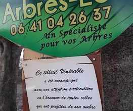 Arbres-Eco image 15