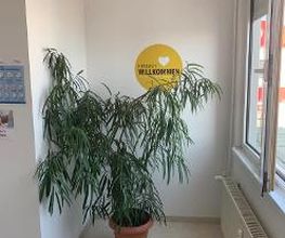 Eingang Herzlich Willkommen mit grüner Zimmerpflanze.