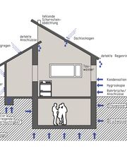 Schimmel Experten - Sirnach Bild 2