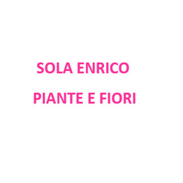 Sola Enrico Fiori e Piante logo