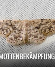 PCS GmbH (APEX) Bild 2