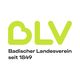 Badischer Landesverein für Innere Mission - Körperschaft des öffentlichen Rechts