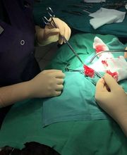 Tierärzte Team Aurora AG Bild 8