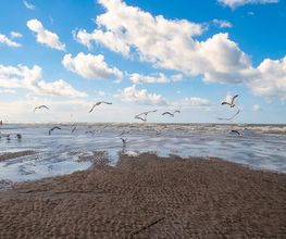 Das Wangerland Bild 2