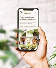 Garden Édelweiss Romont SA Bild 9