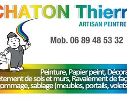 Chaton Thierry image 1