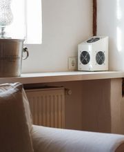 Kreienbühl - Schädlingsbekämpfung Bild 9