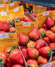 05_rewe_obst-gemuese_2