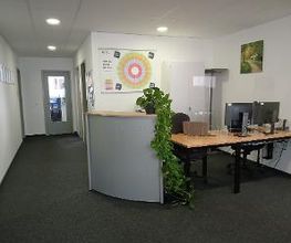 Empfangstresen mit Topfpflanze, Tisch und zwei Bildschirmen