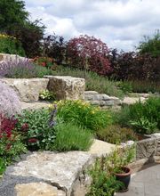 Walter Schmitz Gärten für Auge und Seele Bild 19