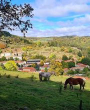 La Renaissance Maison Ceyte image 4