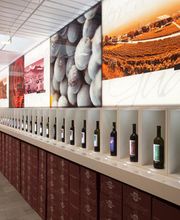 Tamborini Carlo SA Bild 6