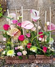 Au Joli Coucou image 4