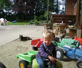 Ferienhof Bruns Bild 29