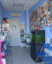 CLINICA VETERINARIA VALTERNA imagen 4