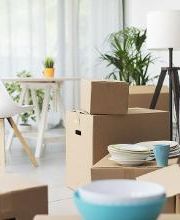 Remar Spais imagen 1