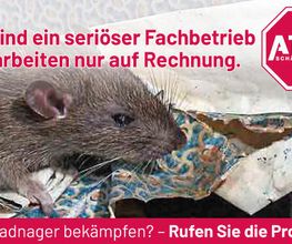 ATOX Schädlingsbekämpfungsfachbetrieb Bild 10