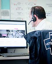 VetoAdom Sarl Bild 11