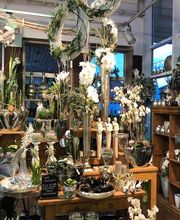 Blumen Interfleur Floristik & Wohnaccessoires Bild 4