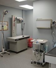 Gentle Doctor Animal Hospital image 7