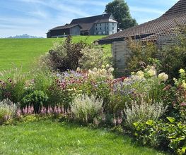 zehnder-garten GmbH Bild 13