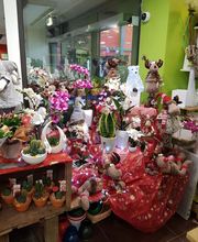 Au Cyclamen image 5
