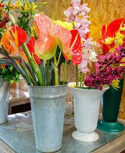 Brin De Nature image 5