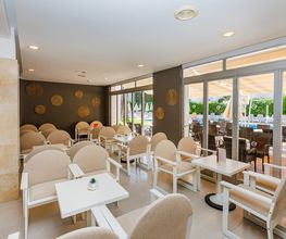 O7 Alondra imagen 18
