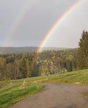 Haus Waldschänke Bild 5