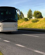 Cars Delbos image 12