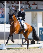 Les Écuries de Coatélan image 2