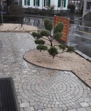 Gärtner Widmer Bild 10