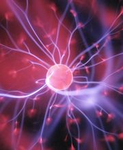 Collet-Maussan Christelle image 6