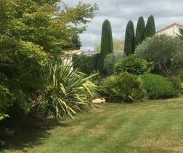 BONNET PAYSAGE image 6