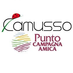 Az. Agr. Camusso di Camusso Margherita logo