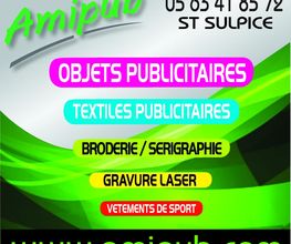 AMIPUB image 2