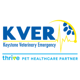 Keystone Veterinary Emergency & Referral, A Thrive Pet Healthcare Partner