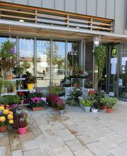 Nature Enchantée image 15