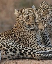 Die Reisegalerie GmbH Bild 10