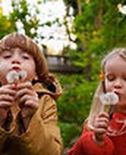 Kita Wunderblume GmbH Bild 8