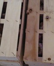 CEBESTUR,S.L. imagen 16