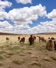 TO PACK N' GO image 3