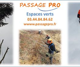 ESAT Passage Pro image 6