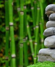 A.S Coiffure image 3